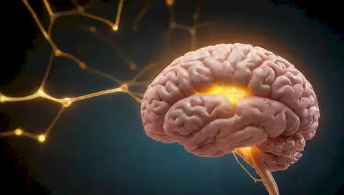 Ilustración cerebral 3D con disparo de neuronas, diagrama de vías neurotransmisoras en el fondo, un resplandor sutil alrededor de la molécula de serotonina, luz amarilla cálida para transmitir calma y enfoque, texturas orgánicas para parecerse al proceso natural