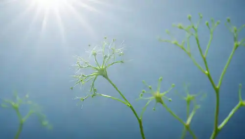 Células cerebrales 3D, neuronas verdes creciendo, sinapsis azul brillante disparando, calmando olas oceánicas que reflejan claridad cognitiva, suaves caminos iluminadores de la luz del sol, floreciendo flores simbolizando la vitalidad mental, y una forma del corazón sutil abrazando el cerebro