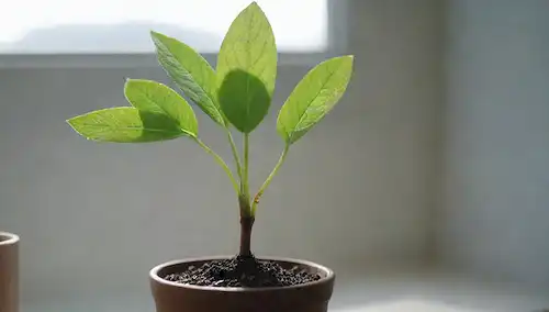 Hojas verdes