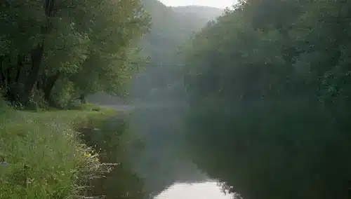 Un paisaje sereno con una superficie tranquila del lago, rodeado de exuberante vegetación y flores, vapor sutil que se eleva del agua, con suaves ondas e iluminación suave, transmitiendo un sentido de relajación y serenidad