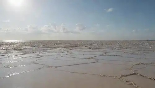 Una escena costera serena con una planta baja de mar