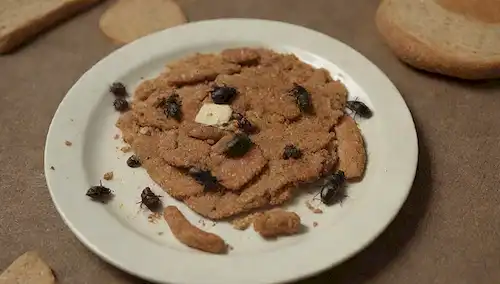 Una toma de cerca de un plato de comida con varios insectos que se arrastran sobre él, como escarabajos y larvas; algunos se pueden mostrar pegados a la superficie o parcialmente enterrados en migajas, con otros volando alrededor de los bordes; el alimento en sí puede ser un típico lugar de mesa con pan, queso, fruta y galletas, pero ligeramente desdichado para mostrar signos de negligencia