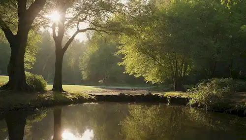 Un entorno tranquilo al aire libre, unas cuantas moscas alrededor, una brisa suave, la luz del sol filtrando a través de árboles, agua tranquila características, un ambiente sereno, sin señales de caos o angustia