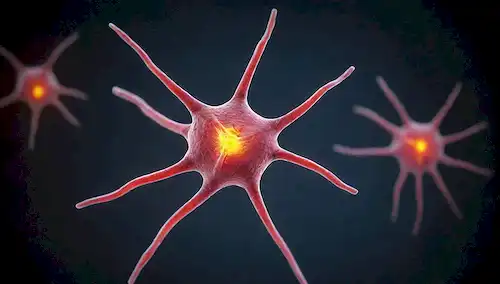 Células cerebrales 3D con moléculas de hierro unido