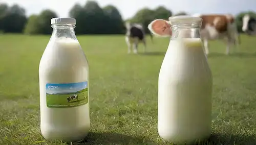 3D vaca pastando en un exuberante prado verde con luz solar, cerca de botellas de leche con etiquetas A1 y A2, una madre que sostiene a un niño tomando un vaso de leche con una sonrisa, una comparación de pantalla dividida de la agricultura láctea tradicional y prácticas sostenibles modernas, un grupo de personas de diversos orígenes que disfrutan de alimentos basados en la leche, una ilustración científica de la estructura de proteína A1/A2