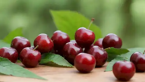 Un plano de cerezas jugosas y maduras en una tabla de corte de madera