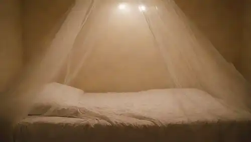 Una cama con mosquitero en primer plano, iluminación suave, colores calmantes, un tejido sutil, una persona que duerme tranquilamente, sin distracciones en la vista, serenidad, tranquilidad