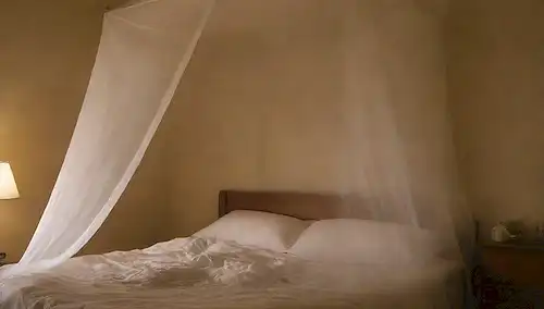 Un ambiente tranquilo con una red de mosquitos
