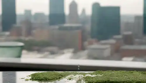 Un vaso de agua con burbujas de cloro subiendo a la superficie