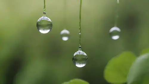 gotas de agua en forma de Gut suspendidas en el aire medio, rodeadas de flora verde vibrante, con unas pocas helices dobles de ADN flotando cerca; pequeños microorganismos bailando alrededor del perímetro del modelo intestinal; suaves ondas en la superficie del agua; efectos brillantes sutiles para representar la colonización bacteriana