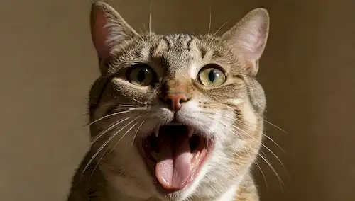 Un disparo de cerca de un gato cara con la lengua hacia fuera, rodeado de sombras sutiles, un ligero eco arañazo en el fondo, con un toque de suciedad y desgaste en la superficie su sentado en
