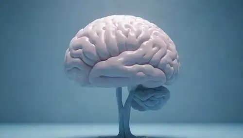 ilustración 3D de un cerebro humano con fondo tranquilo y pacífico, ondas suaves, flores de loto flotando alrededor, iluminación suave, y tonos azules sutiles para transmitir serenidad, con raíces o vides que se conectan al cerebro simbolizando efectos calmantes de kavas sobre la ansiedad