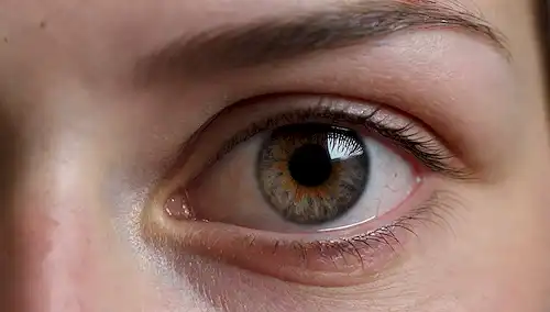 Ojos de cerca con conductos de lagrima destacados, formación de gota de lagrima mostrada, efecto de visión borrosa, enrojecimiento y pufiidad alrededor del área del ojo, fuente de luz suave para tono cálido, textura sutil para el realismo