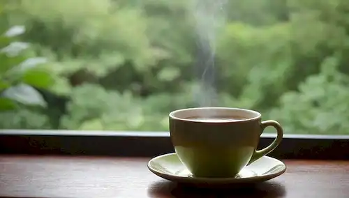 Un ambiente cálido y acogedor con una mesa de madera rústica, una taza de vapor de yerba mate en un lado y una demitasse de café en el otro, rodeado de exuberante follaje verde, suave luz natural que derrama a través de una ventana, algunas hojas de té o hierbas sueltas dispersas cerca