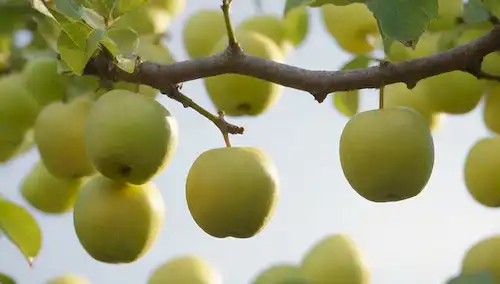 Una rama de fruta verde brillante con manzanas amarillas maduras, unas cuantas moscas alrededor, una suave brisa de verano, luz solar filtrando a través de las hojas, un efecto de sombra sutil