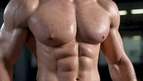 ilustración 3D de un cuerpo de personas con músculos relajados, gotas de sudor, fibras musculares intangling, y células grasas formando, en medio de un fondo de gimnasio borroso o un gradiente sutil