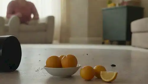 Una escena de salón doméstica con una mosca flotando cerca de una lata de basura