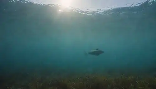 Una tranquila escena oceánica con un pez nadando en primer plano, rodeado de algas, algas u otra vegetación marina; unas pocas escuelas de peces más pequeños atreviéndose en la distancia; una suave ola cresting en la superficie del agua; un sutil efecto gradiente para sugerir profundidad