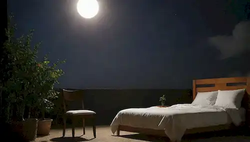 ciclo, reloj, sol y luna, colores claros y oscuros, figura humana, cama o silla, ambiente natural, plantas, flores, nubes, fases lunares, estrellas, sombras