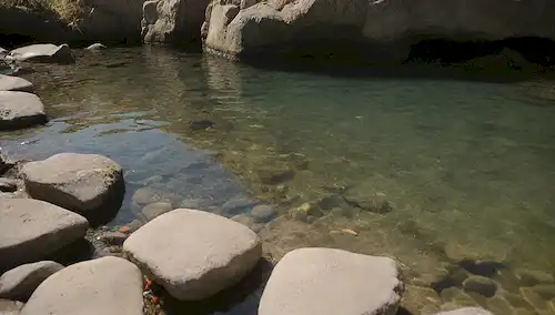 Pescado fresco nadando cerca de una piscina de roca, con un fondo de agua poco profundo y unas pocas hebras visibles, cálida luz solar iluminando la escena, con un enfoque sutil en una o dos especies de morralla fresca en el centro del marco