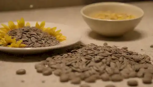 Un plato con múltiples semillas de girasol que se derraman, unas cuantas conchas ralladas y rotas, un pequeño tazón de agua cerca, una mano agarrando por una última semilla, un fondo borroso para representar el caos o el desarray, un toque de luz amarillento que sugiere el descontento