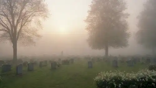 Un cementerio sereno al atardecer, con una figura solitaria en la distancia caminando hacia una tumba, un ramo de flores blancas en la mano, rodeado de exuberante vegetación y niebla malvada, insinuando la introspección y contemplación