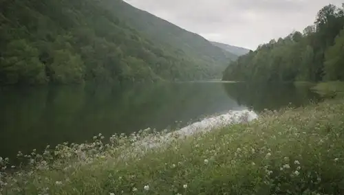 Un paisaje suave con fibras naturales tejidas en una textura sutil, telas suaves que fluyen a través de vegetación exuberante, hilos delicados enlazados alrededor de flores florecientes, algodón orgánico brotando de tierra fértil, patrón de celos intrincado en una superficie del lago sereno