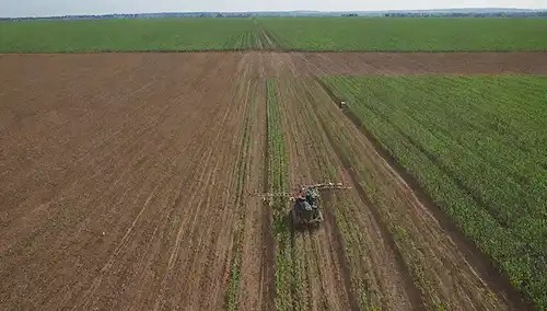 Campos 3D de cultivos verdes, hileras de sensores y sistemas de monitoreo, tractores con equipos de precisión, un drone volando sobre la cabeza, un granjero en la distancia, edificios agrícolas en el fondo, tubos de ensayo de suelo, tuberías de riego, luz solar y cielo sin nubes