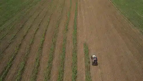 campos de cultivo bajo el cielo soleado con hileras de cultivos que crecen en precisión limpia, tractores que conducen, drones volando por encima, sensores unidos a plantas, agricultores que inspeccionan la calidad del suelo, sistemas de riego en acción, y un toque de vegetación que rodea toda la escena