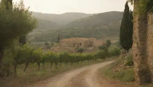siglo XVIII viñedos españoles